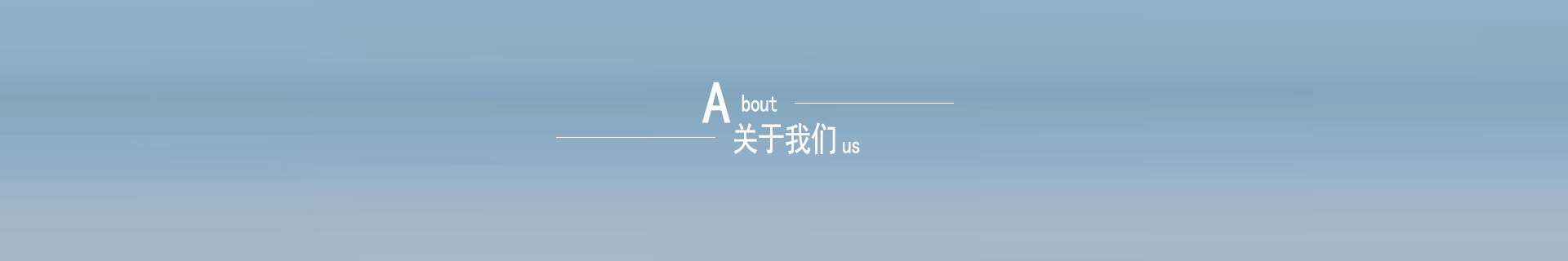 公司簡(jiǎn)介