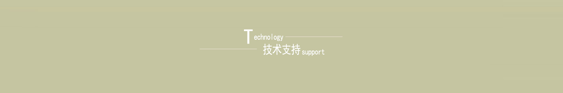 技術(shù)指導